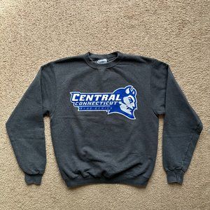 Central Connecticut State University Sweater Womens Small Champion Pullover